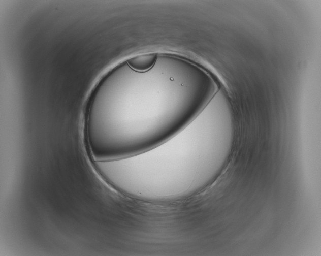 X0000112411508200908141015
