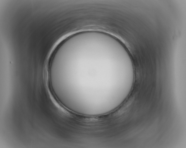 X0000112411515200908141015