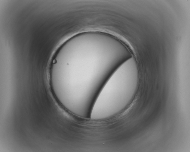 X0000112411517200908141015