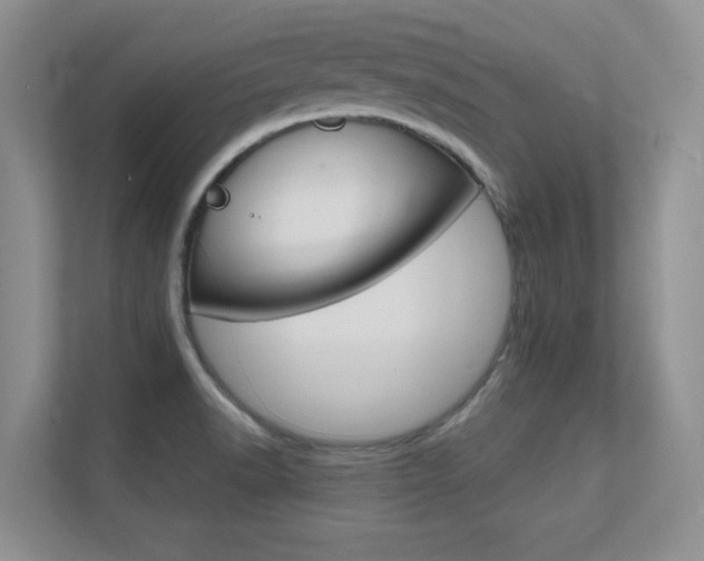 X0000112411518200908141015