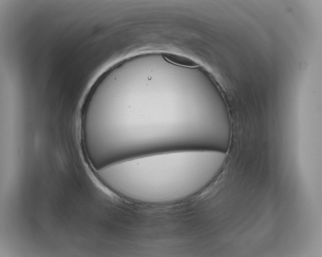 X0000112411519200908141015