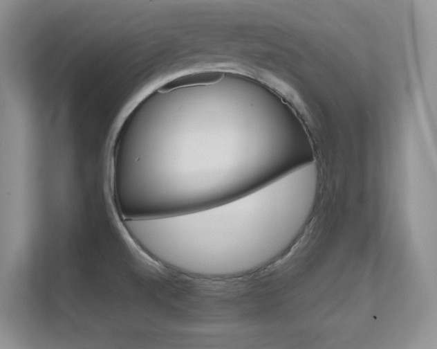 X0000112411520200908141015