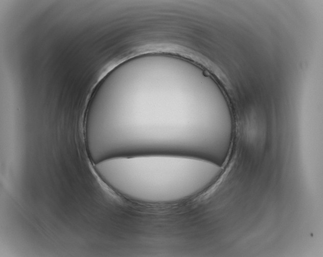 X0000112411521200908141015