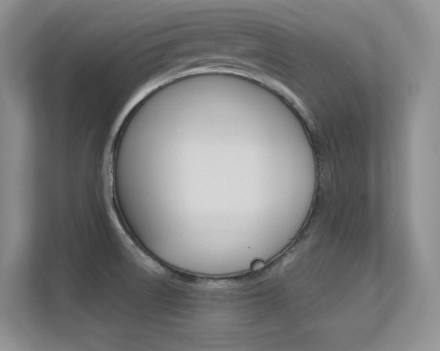 X0000112411522200908141015