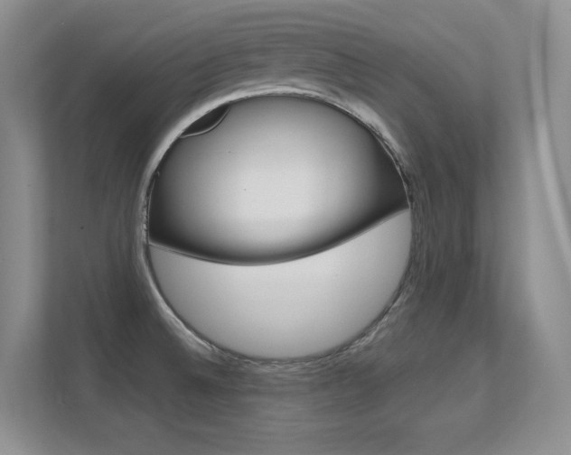 X0000112411524200908141015