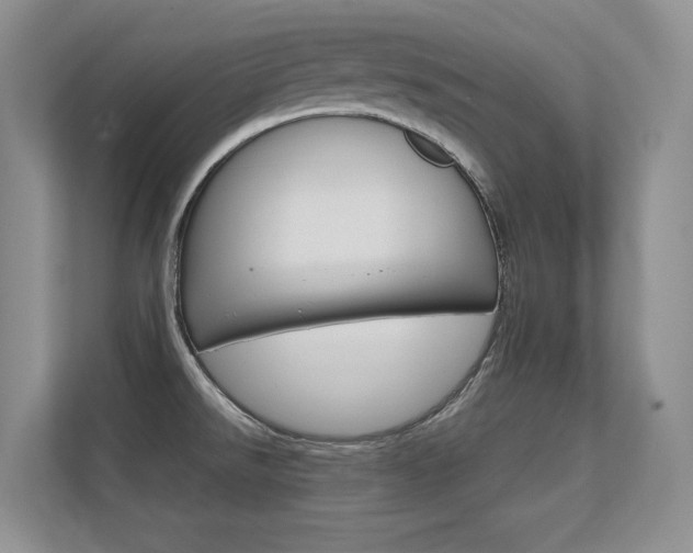X0000112411526200908141015