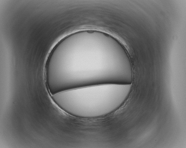 X0000112411527200908141015