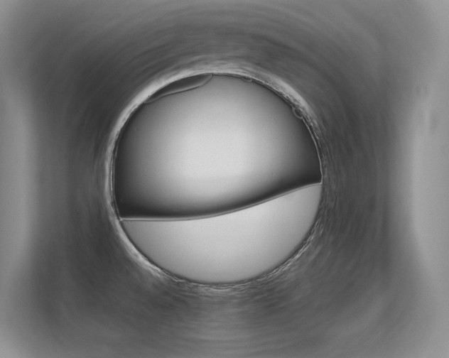 X0000112411528200908141015