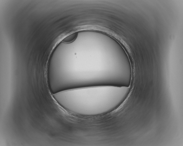 X0000112411529200908141015