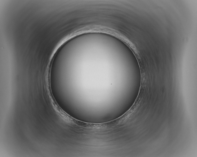 X0000112411530200908141015