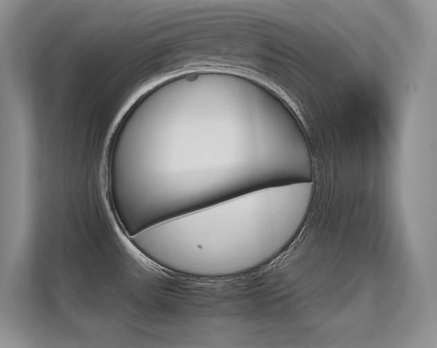 X0000112411531200908141015