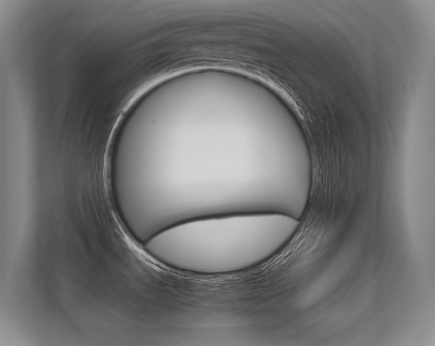 X0000112411535200908141015