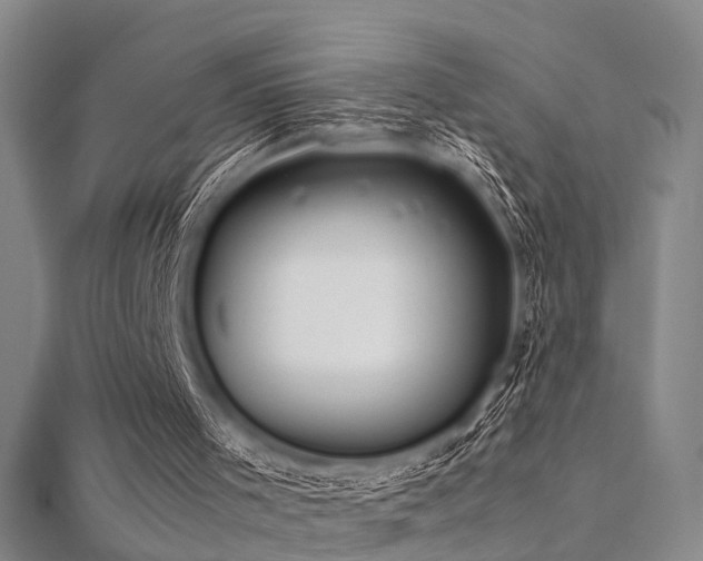 X0000112410001200908141410