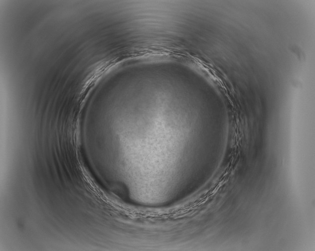 X0000112410002200908141410