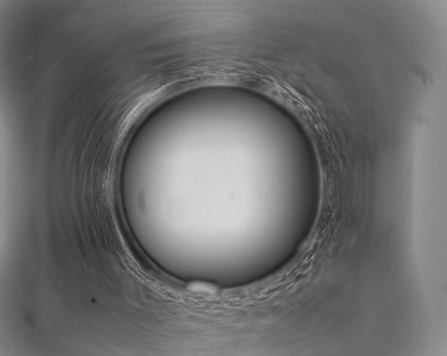 X0000112410003200908141410