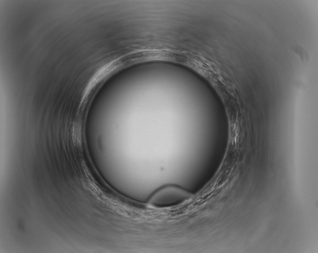 X0000112410004200908141410