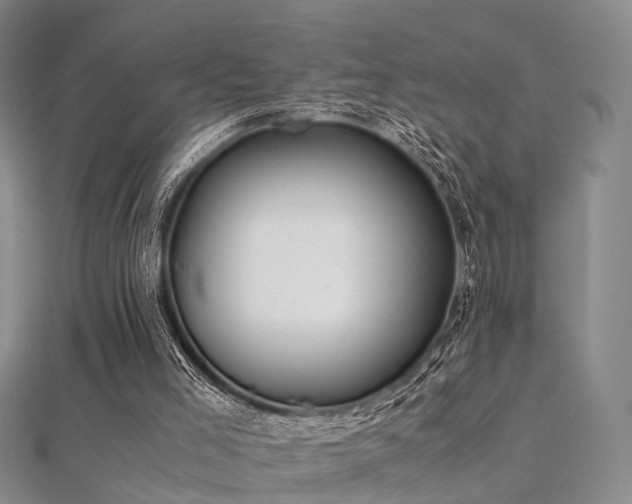 X0000112410005200908141410