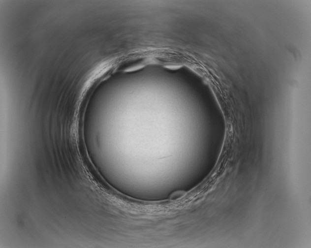 X0000112410006200908141410