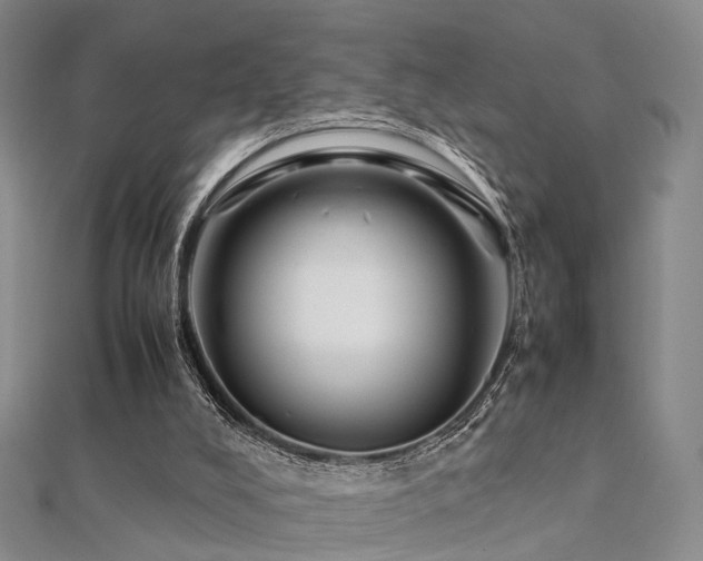 X0000112410008200908141410