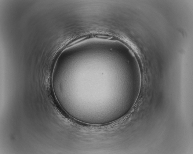 X0000112410009200908141410