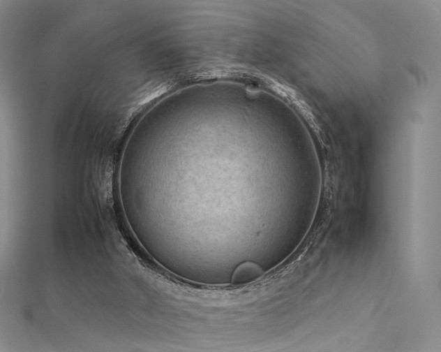 X0000112410010200908141410