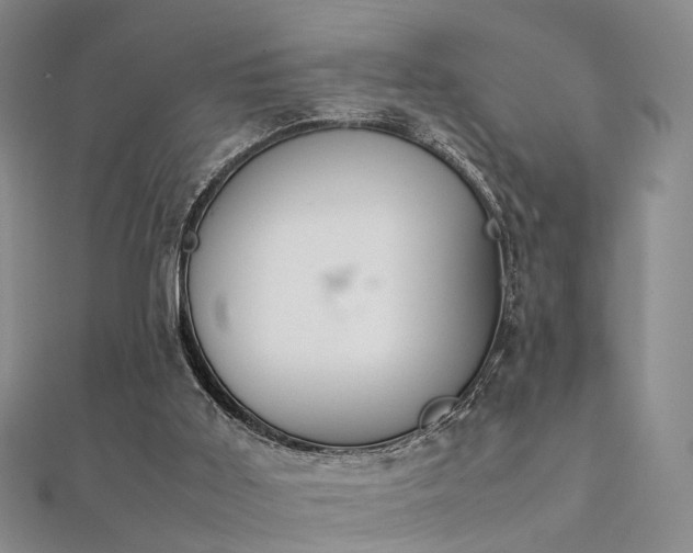 X0000112410011200908141410