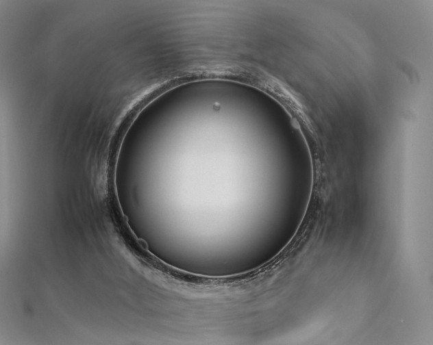 X0000112410012200908141410
