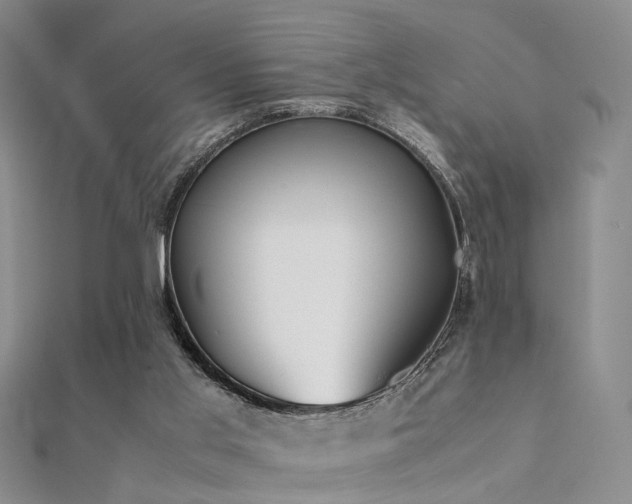 X0000112410013200908141410