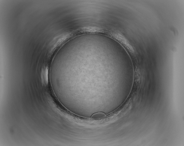 X0000112410014200908141410