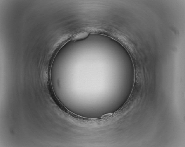 X0000112410015200908141410