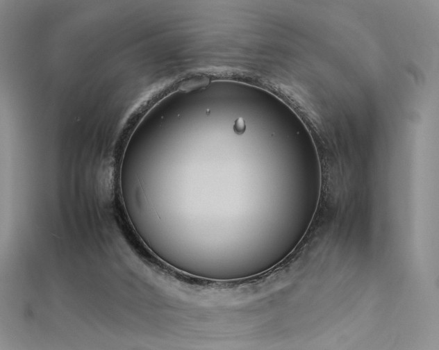 X0000112410016200908141410