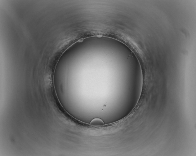 X0000112410017200908141410