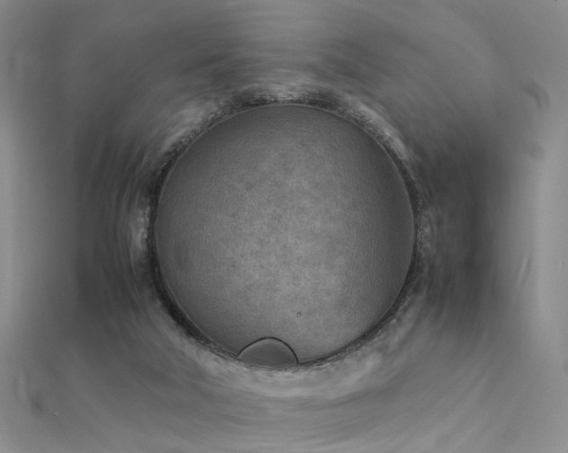 X0000112410018200908141410