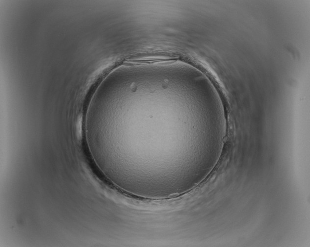 X0000112410019200908141410