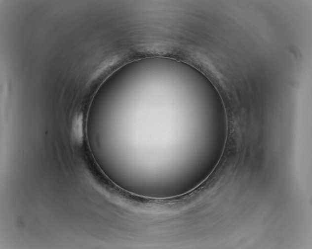 X0000112410020200908141410