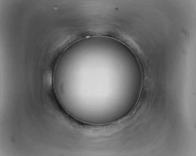 X0000112410021200908141410
