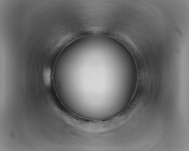 X0000112410024200908141410