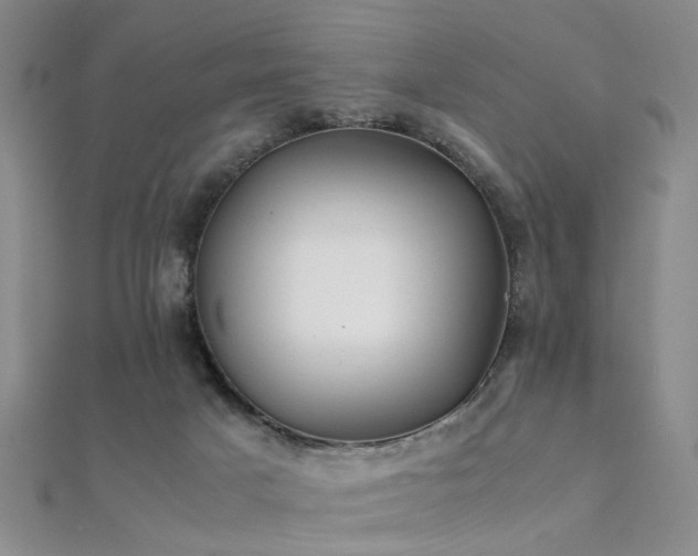 X0000112410025200908141410