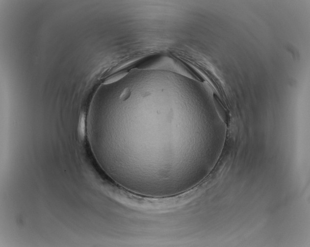 X0000112410027200908141410