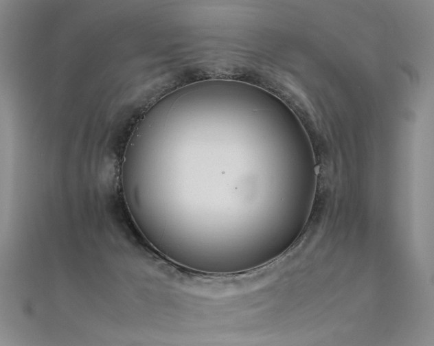 X0000112410029200908141410