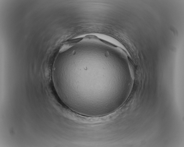 X0000112410031200908141410