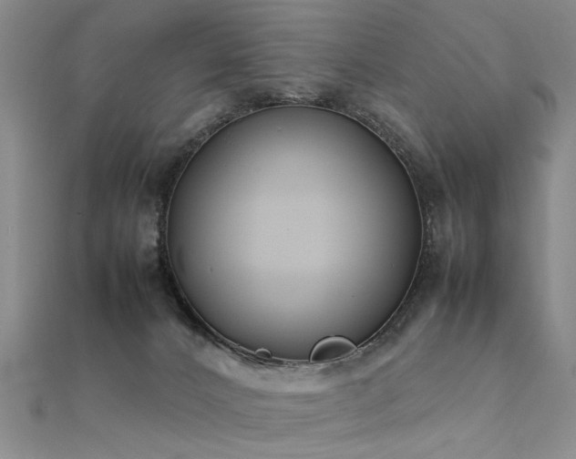 X0000112410032200908141410