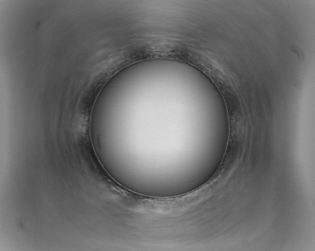 X0000112410033200908141410