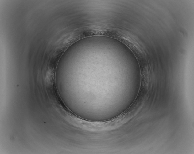 X0000112410034200908141410