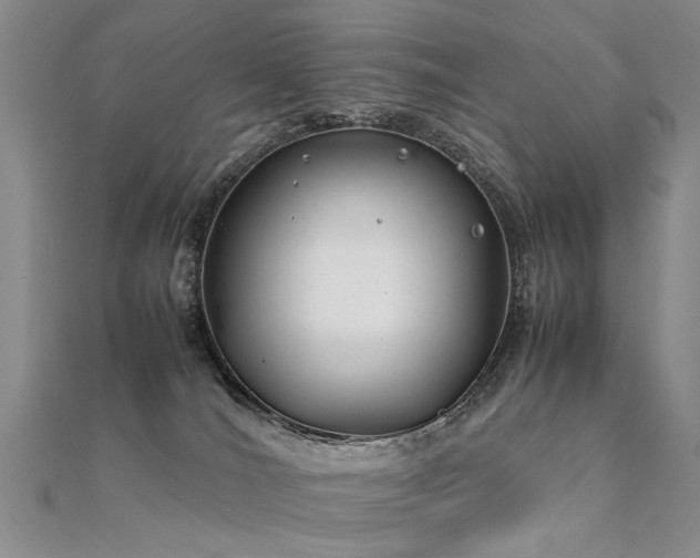 X0000112410036200908141410