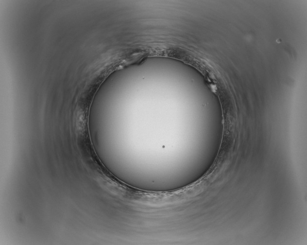 X0000112410037200908141410