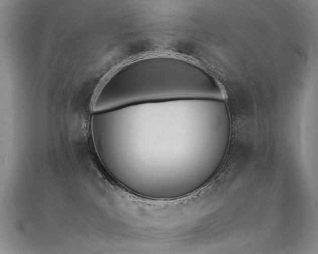 X0000112410039200908141410