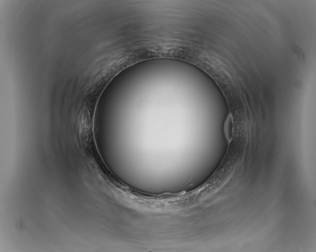 X0000112410040200908141410