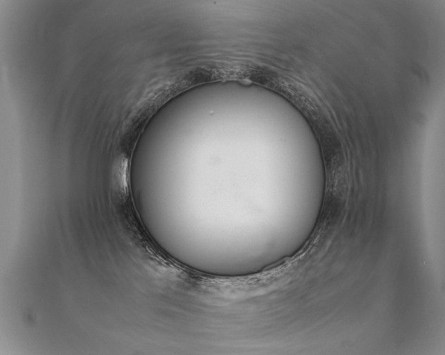 X0000112410041200908141410