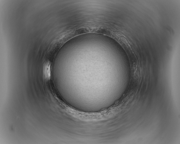 X0000112410042200908141410